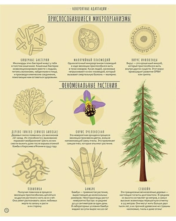 Чудеса эволюции.Путешествие во времени (худож.У.Робинс)