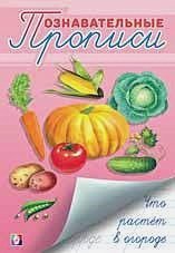 Познавательные прописи Что растет в огороде