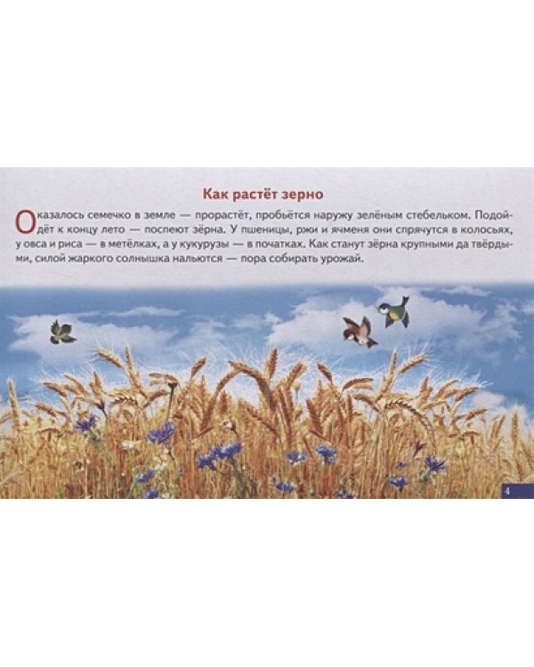 Как получается хлеб