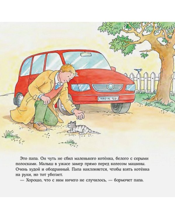 Большая книга приключений Конни.Животные