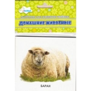 Домашние животные