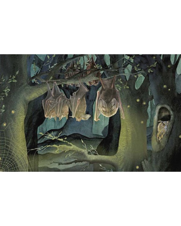 Удивительные приключения Маленького Бо