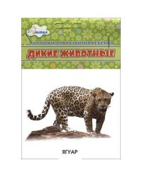 Дикие животные