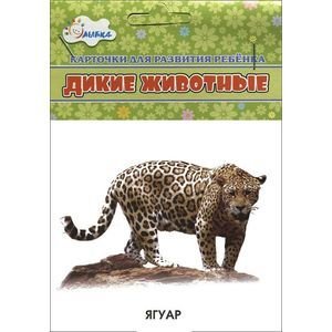 Дикие животные