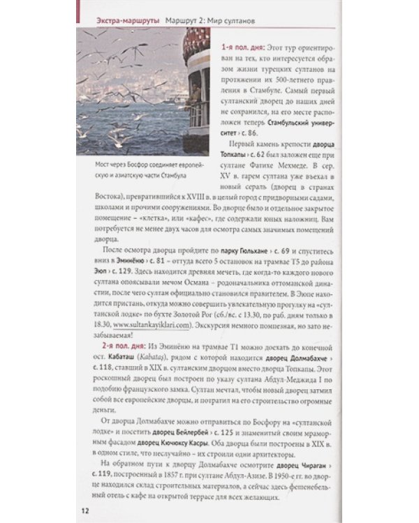 Стамбул.Путеводитель с мини-разговорником (карта в кармашке) (16+)