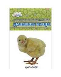 Домашние птицы