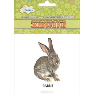 Животные (мои первые англ.слова)