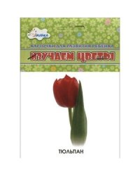 Изучаем цветы