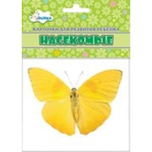 Карточки для развития ребенка Насекомые