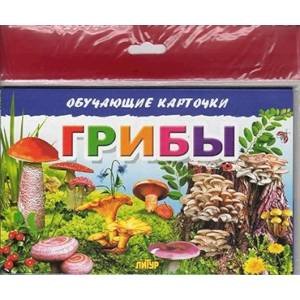 Обучающие карточки Грибы (в европакете)