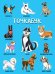 Собаки