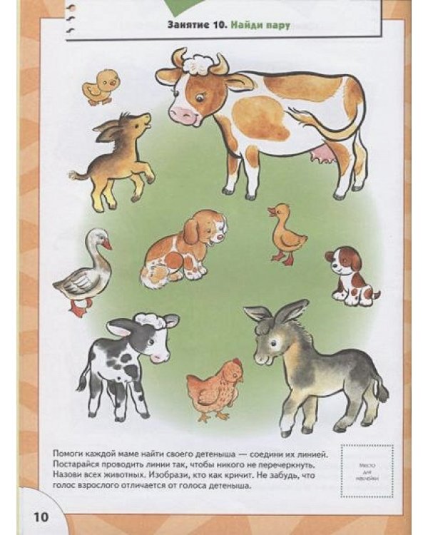 Логика,мышление