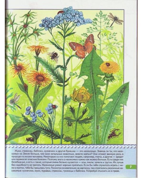 Я изучаю природу