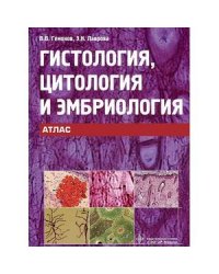 Гистология,цитология и эмбриология.Атлас
