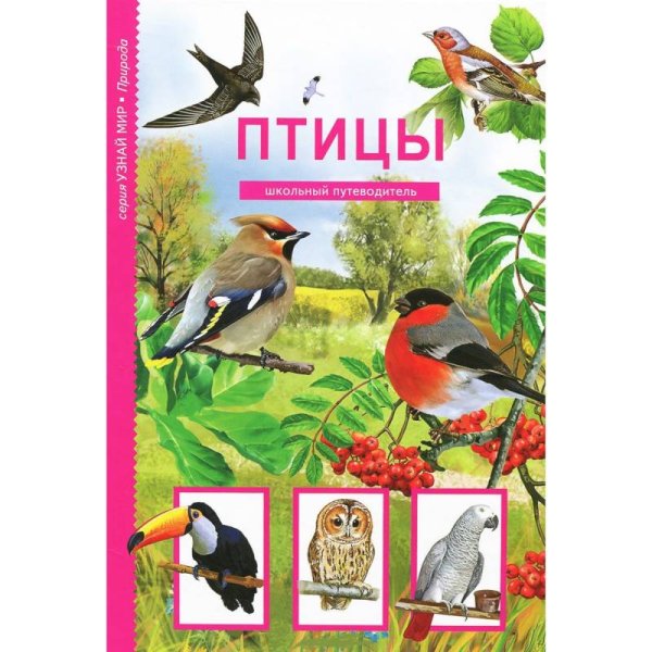 Узнай мир.Природа Птицы.Школьный путеводитель