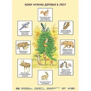 Кому нужны деревья в лесу