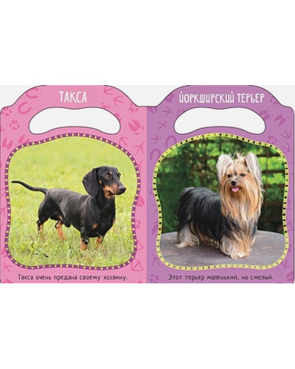 Кто гавкает?