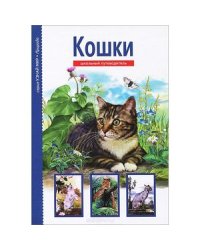 Кошки.Школьный путеводитель (6+)