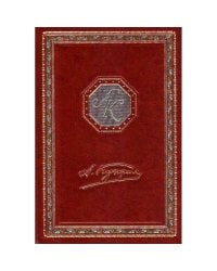 Белая акация