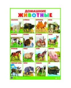 Домашние животные