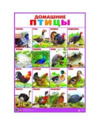 Домашние птицы (0+)