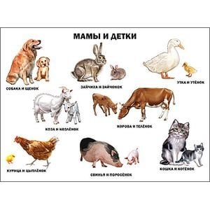 Мамы и детки (формат А2)