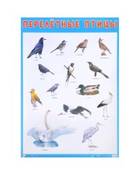 Перелетные птицы