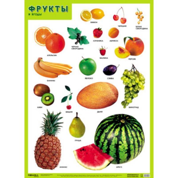 Фрукты и ягоды