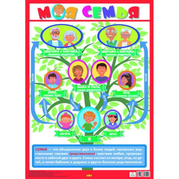 Обучающий плакат Моя семья (550х770) (больш.форм.)