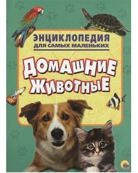 Домашние животные