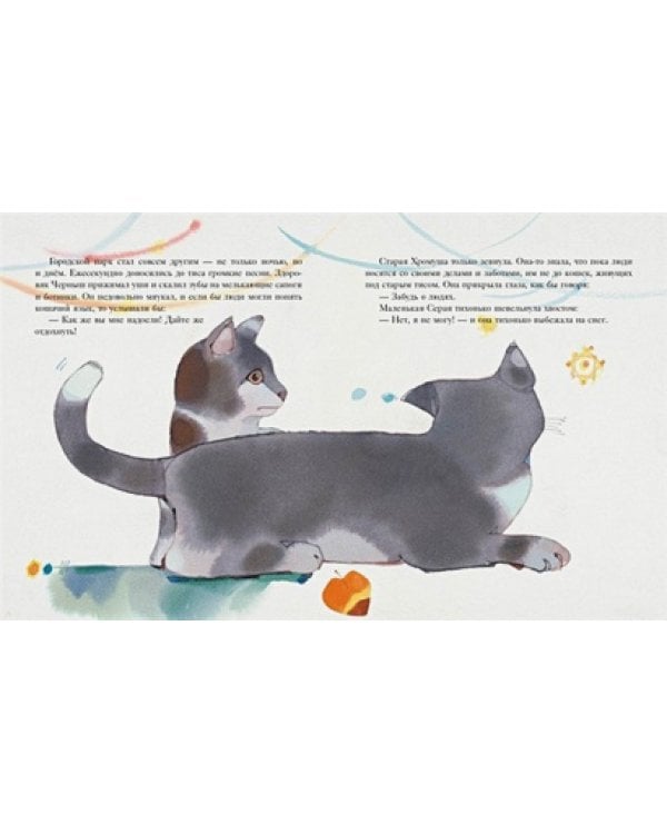 Где кошка встретит Новый год