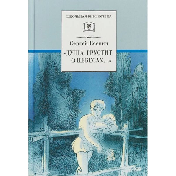 Школьная библиотека Душа грустит о небесах ...