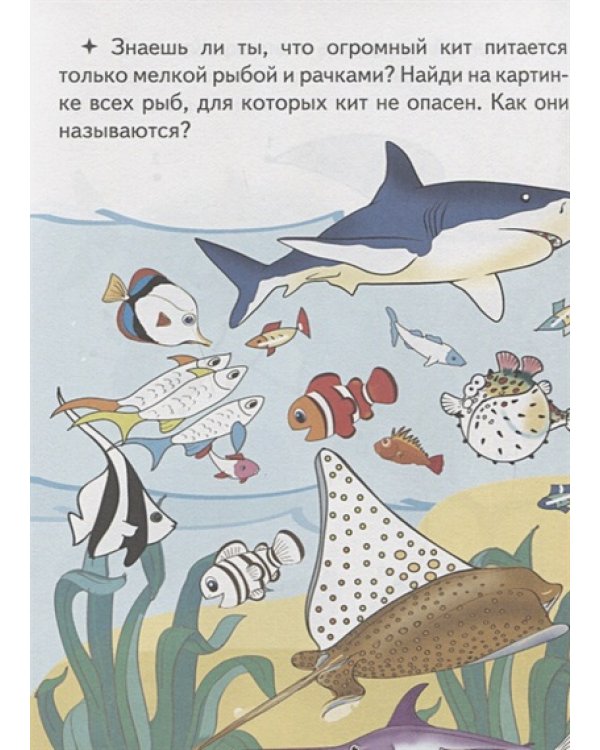 Кто в море живет?