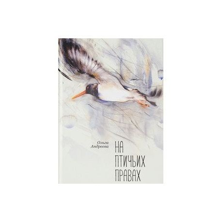 На птичьих правах На птичьих правах