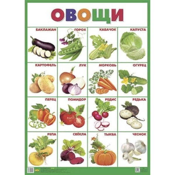 Обучающие плакаты Овощи