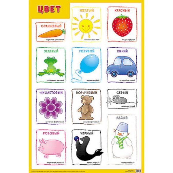 Плакаты Цвет
