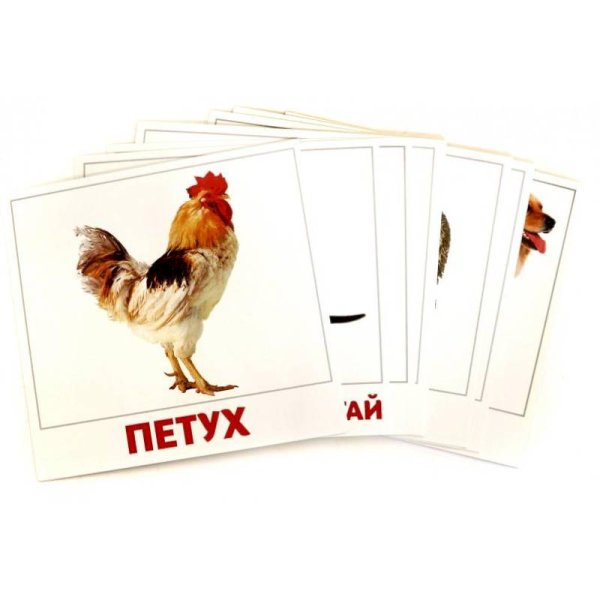 <> Домашние животные