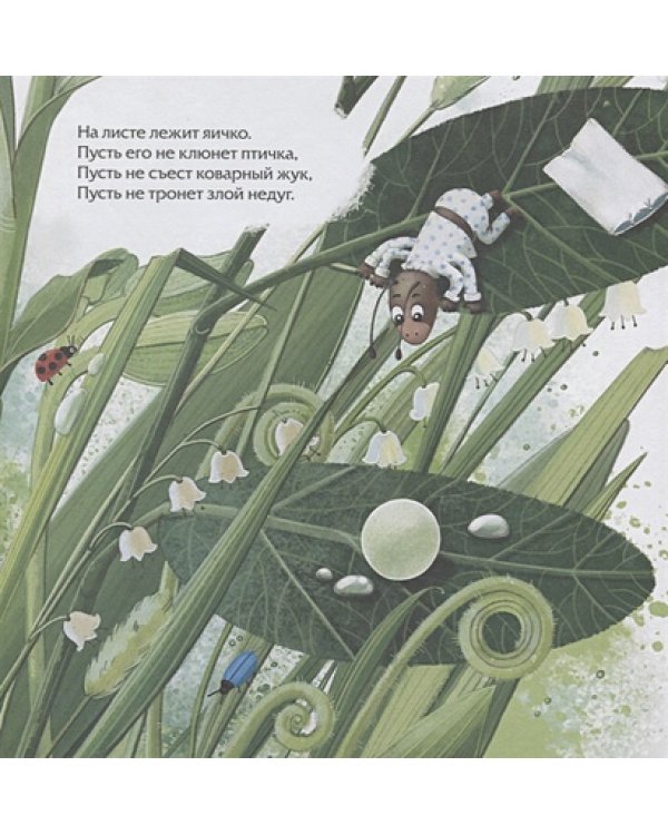 Секрет бабочки