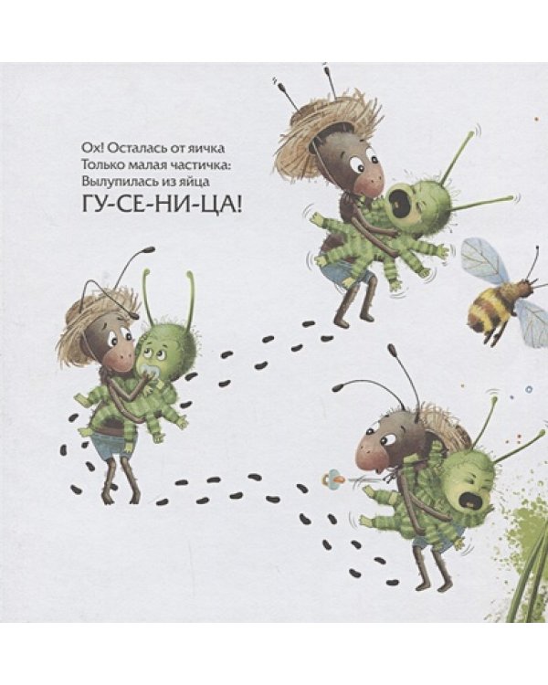 Секрет бабочки