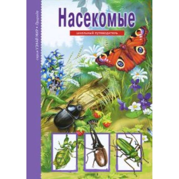 Насекомые.Школьный путеводитель