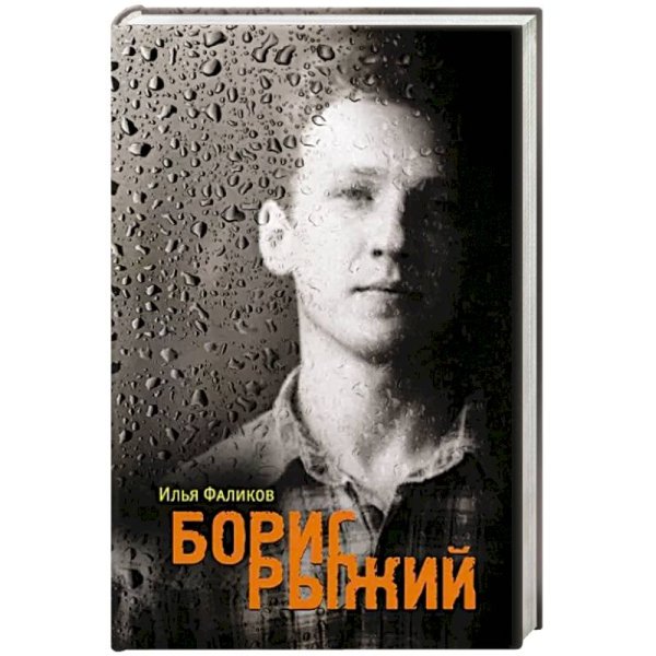 Борис Рыжий.Дивий камень