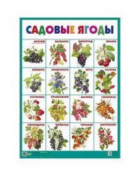 Садовые ягоды