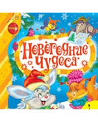 Новогодние чудеса