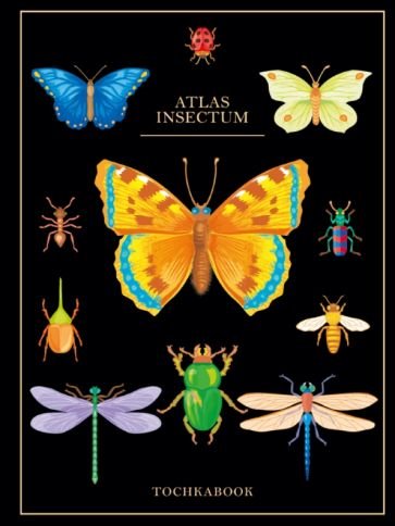 <> Насекомые