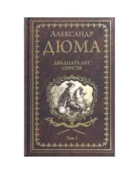 Двадцать лет спустя.Том 1