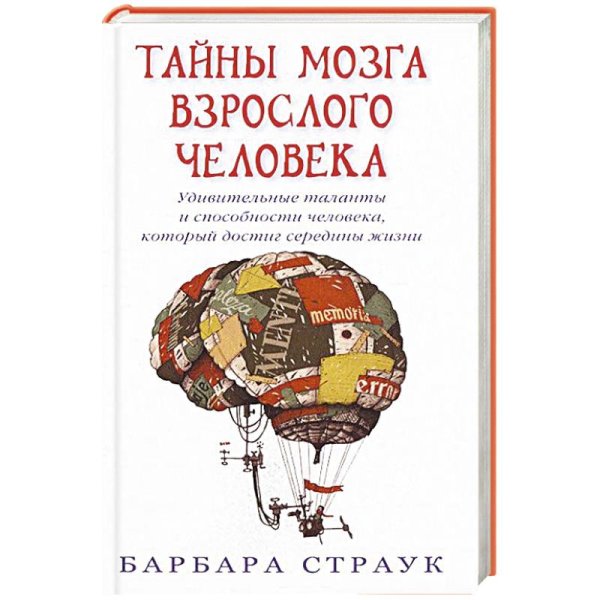 Тайны мозга взрослого человека