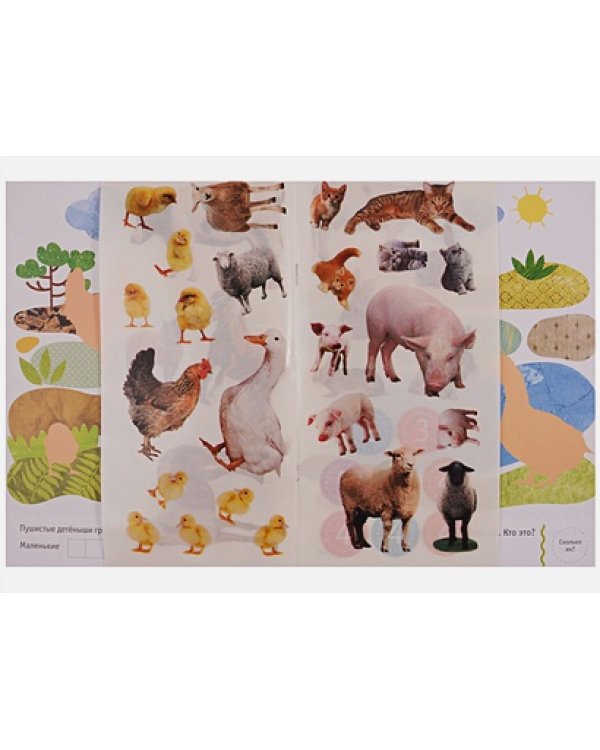В деревне