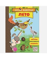 Лето.Наклейки.Лабиринты