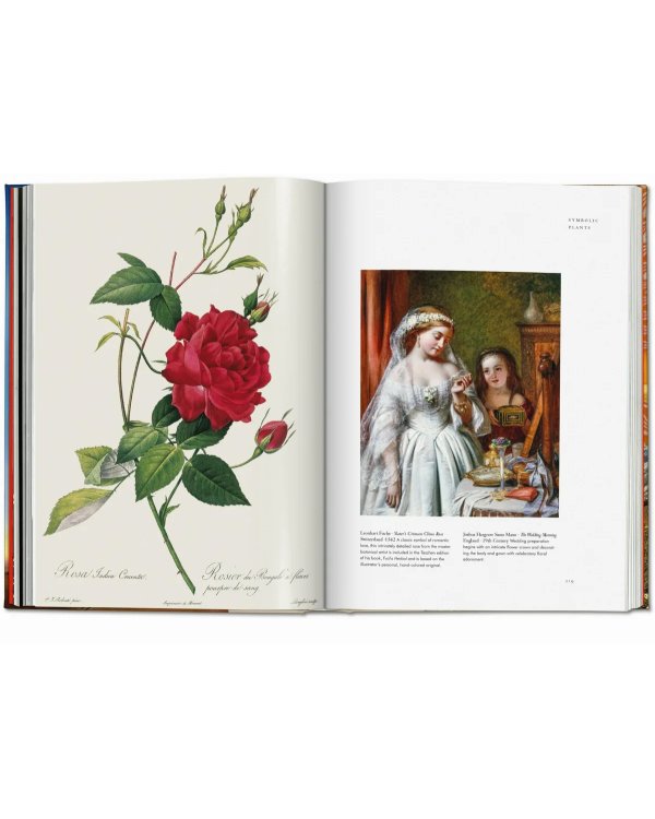 Plant Magick. The Library of Esoterica