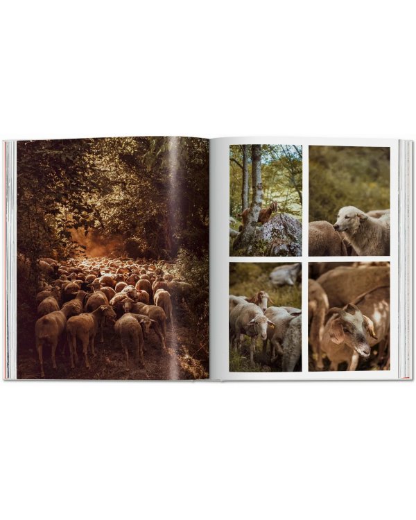 Remote Experiences. Extraordinary Travel Adventures from North to South